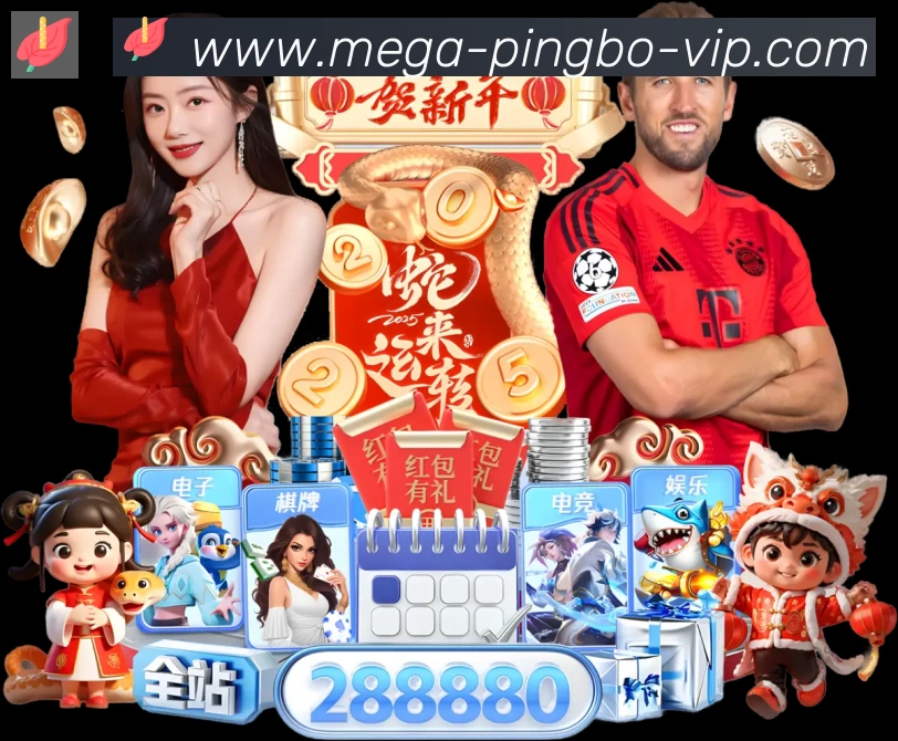 体育数据展示